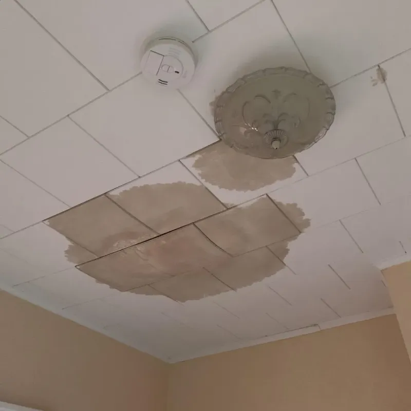 Ceiling Water Damage Repair in Peru, ME