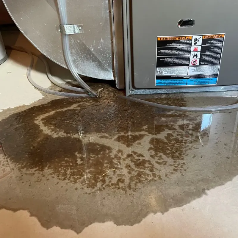 Pipe Burst and Leak Restoration in Peru, ME