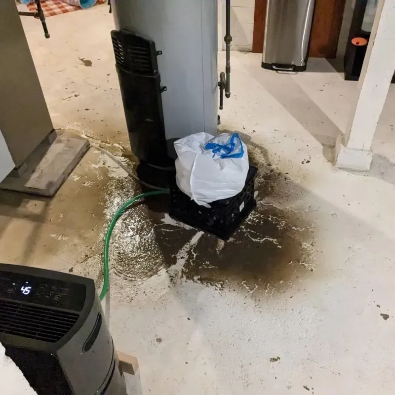 Sewage Backup Cleanup Service in Peru, ME